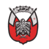 Abu Dhabi Embroidery Designs