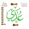 Adi عدى Arabic Embroidery Designs
