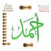 Ahmed أحمد Arabic Embroidery Designs