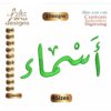 Asmaa اسماء Arabic Embroidery Designs