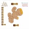 Ginger Embroidery Designs