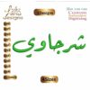 Sharjawi شرجاوى Arabic Embroidery Designs