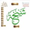 Sheikha شيخة Arabic Embroidery Designs