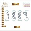 2025-1446 Embroidery Designs,٢٠٢٥-١٤٤٦ Machine Embroidery Designs,Files Instant Download