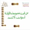 Arabic Designs Embroidery Designs, Arabic Machine Embroidery Designs, Files Instant Download