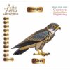 Falcon Embroidery Designs