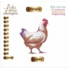 Hen Embroidery Designs