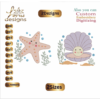Star and pearl of the sea Embroidery Designs