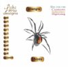 Spider Embroidery Designs