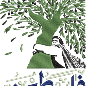 Palestine Olives