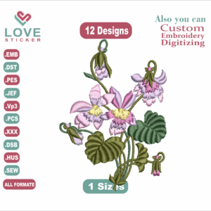 ddw